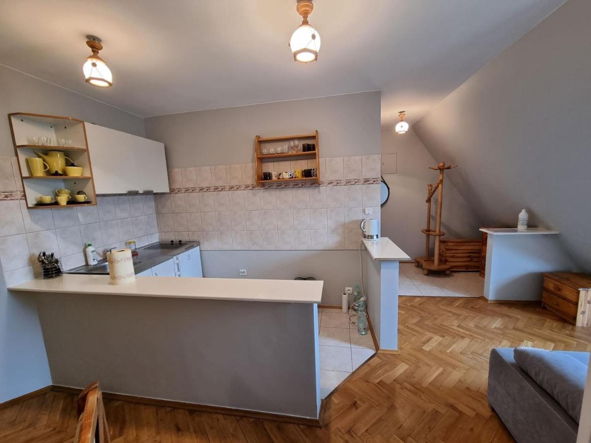 Apartament Droga Na Bystre 9A 扎科帕内 外观 照片